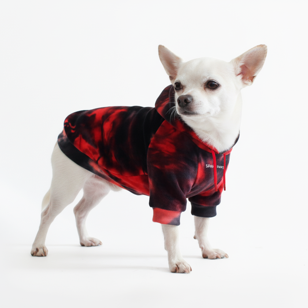 Top Deals – SPARK PAWS