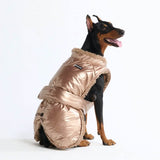 スリップオンウィンタージャケット - メタリックゴールド