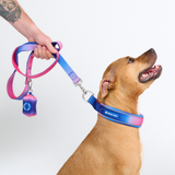 Snow Cone Martingale Collar||size:C,D,E