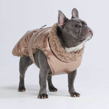 スリップオンウィンタージャケット - メタリックゴールド