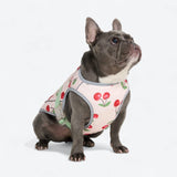 犬用クーリングベスト - チェリー