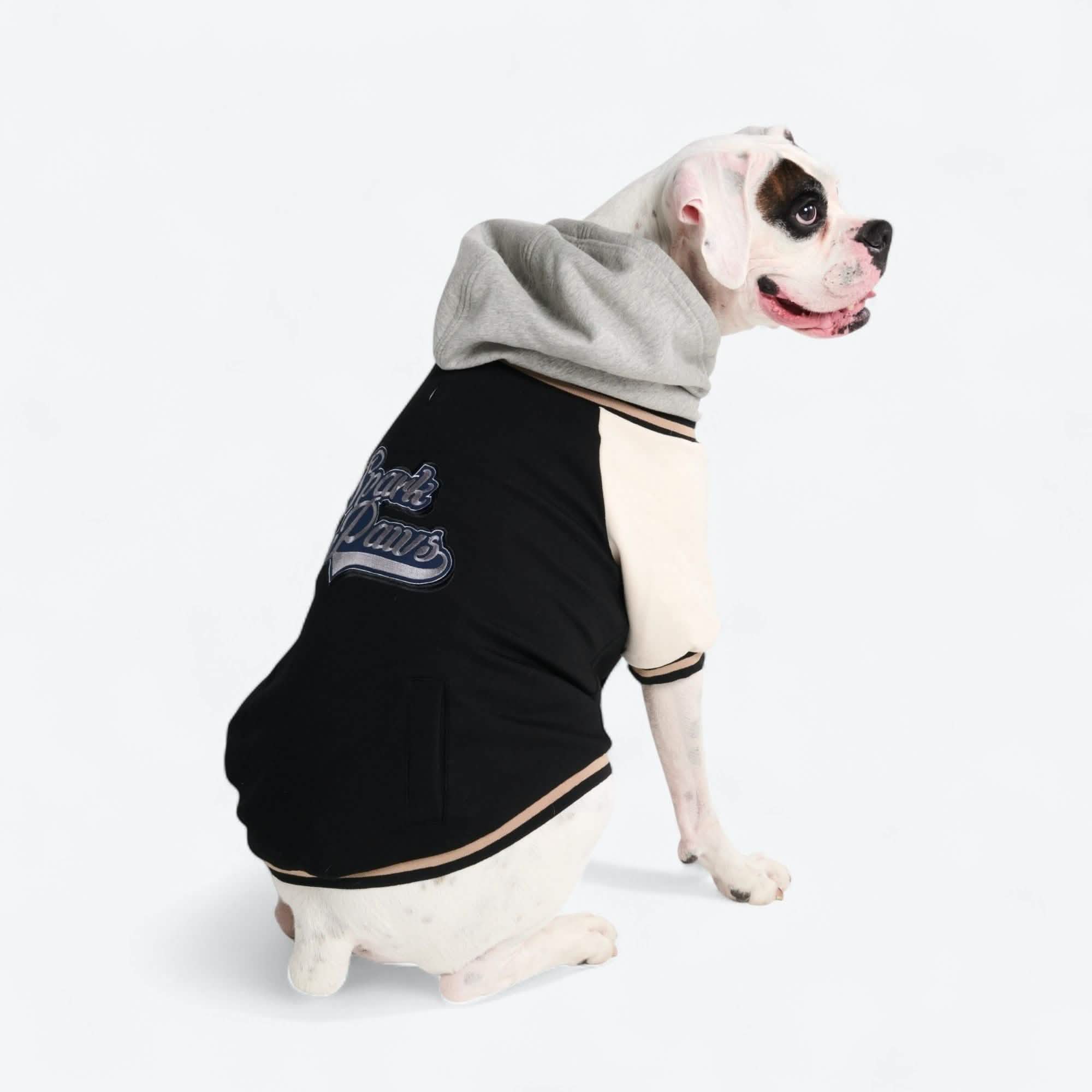 犬用バーシティジャケット - ブラック – SPARK PAWS