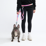 Pastel Icing Neoprene Leash