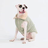 コーデュロイシェルパジャケット - ミント