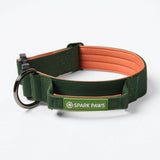 Green Orange Collar