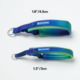 マーチンゲール首輪 – ライムウェーブ