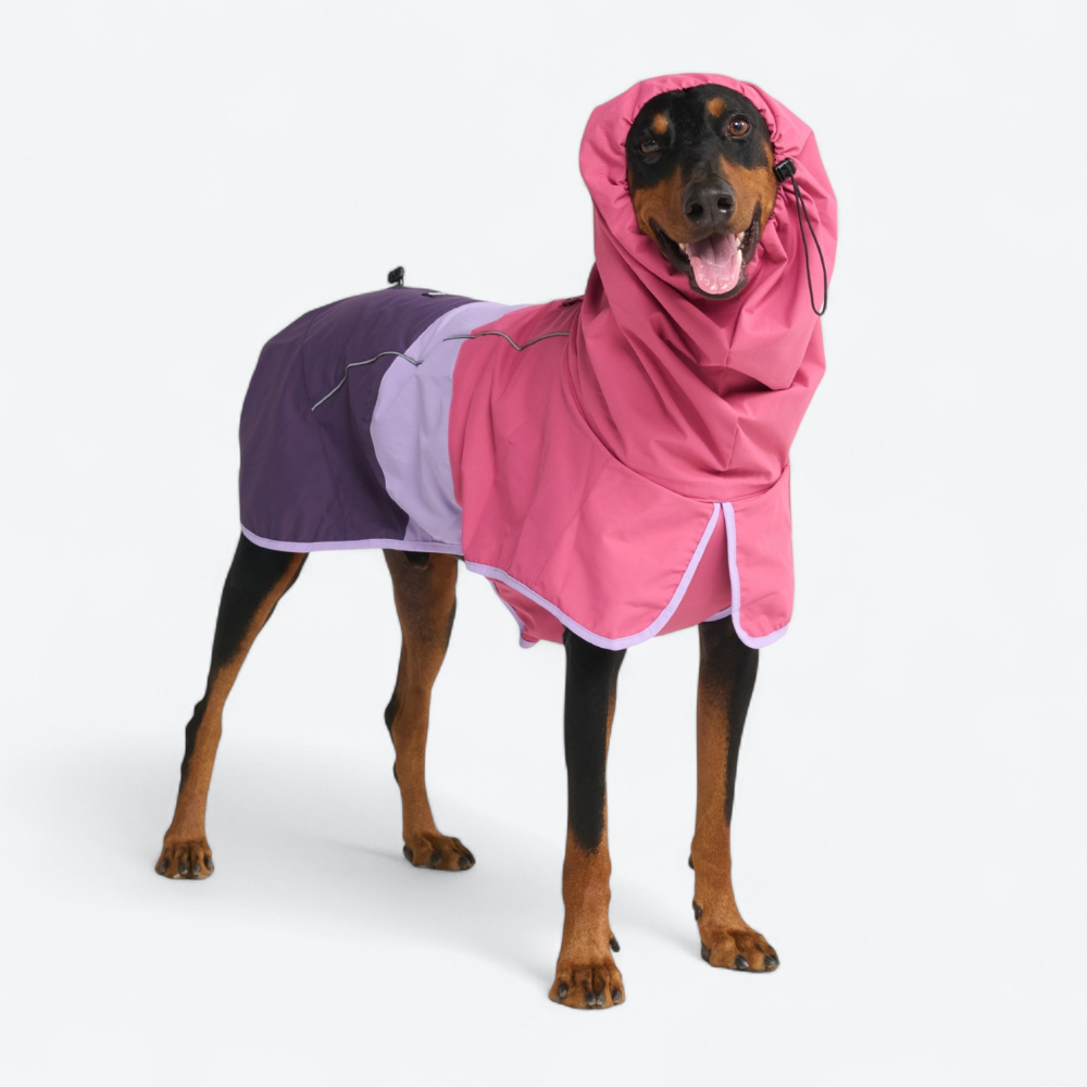 i dog レインボー　超希少　レア Breatheshield™ ドッグ レインコート – SPARK PAWS