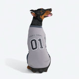 フットボールメッシュジャージ - グレー