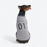 フットボールメッシュジャージ - グレー