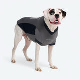 フットボールメッシュジャージ - グレー