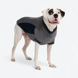 フットボールメッシュジャージ - グレー