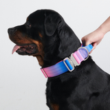 戦術的な犬用首輪セット - スノーコーン