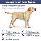Fuchsia Camo Escape Proof||size:1,2,3,4,5