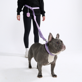 Lilac Neoprene Leash
