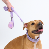 Lilac Martingale Collar||size:C,D,E