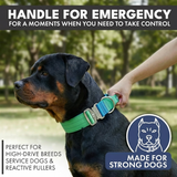 戦術的な犬用首輪 - ライムウェーブ