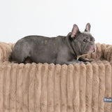 高級ソファカバー付きドッグベッド - ブラウン