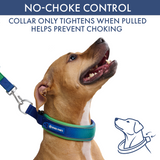 Lime Wave Martingale Collar||size:C,D,E