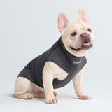 日焼け止め犬用Tシャツ - ダークグレー
