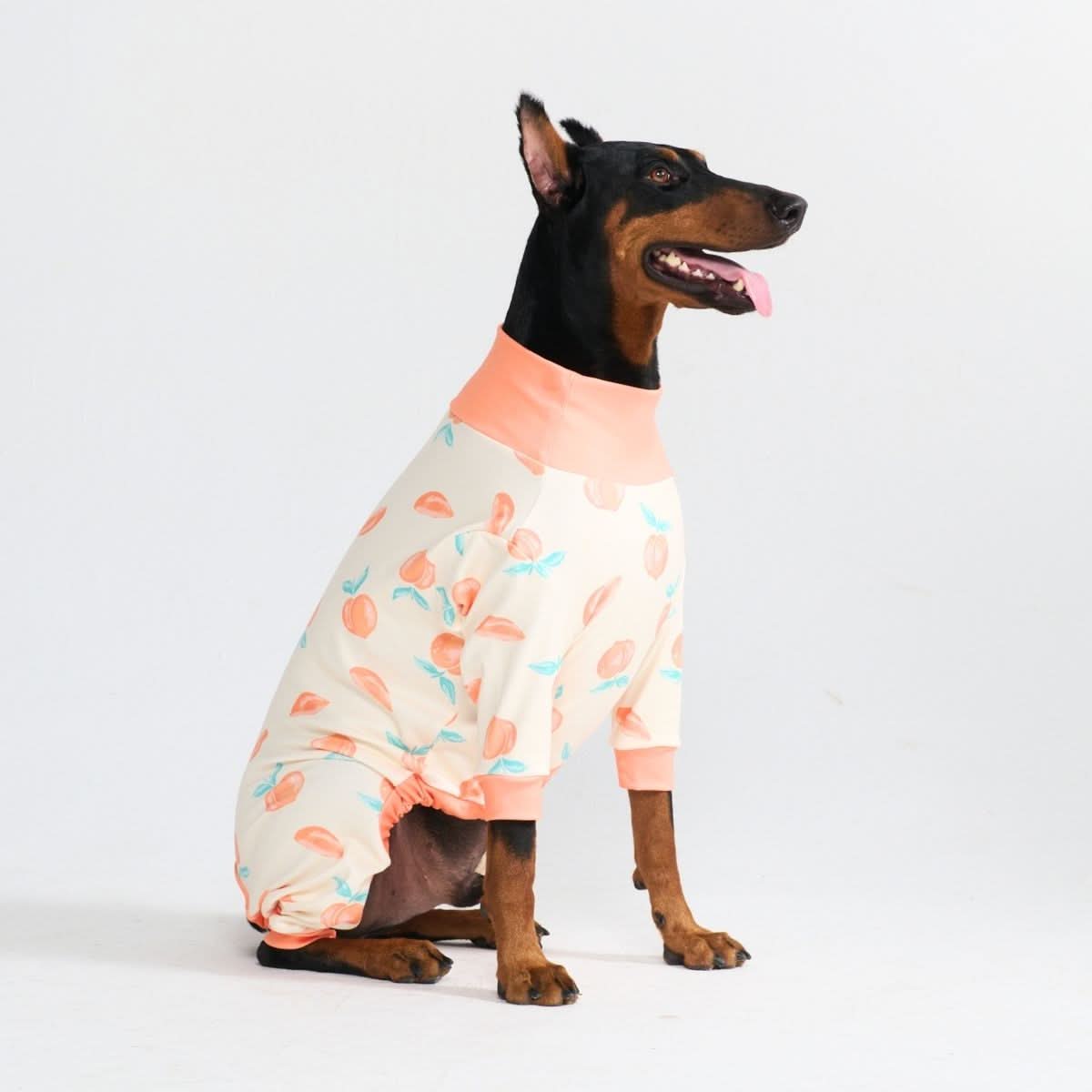 犬服 | 犬服犬用アパレル |犬のパーカーと衣装 |スパークポーズの服
