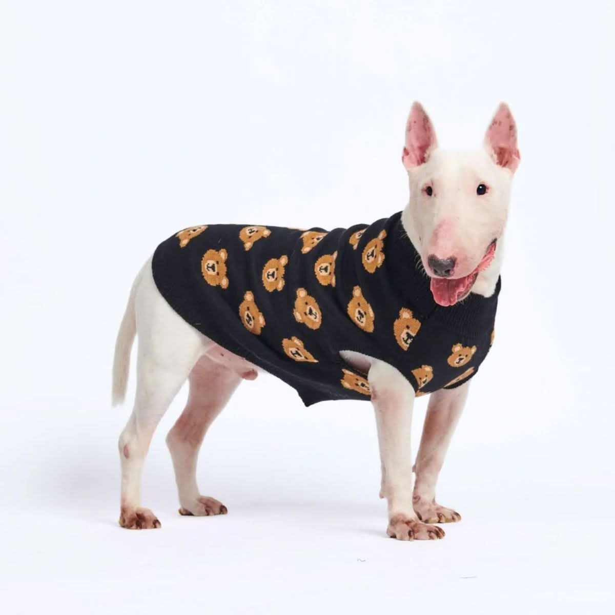 編み犬用セーター - 壊れたテディベア – SPARK PAWS