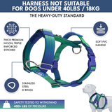 Lime Wave Harness||size:S,M,L
