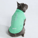 日焼け止め犬 T シャツ - ミント