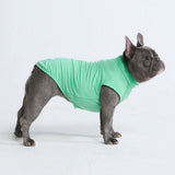 日焼け止め犬 T シャツ - ミント
