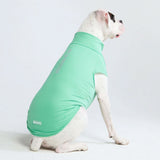 日焼け止め犬 T シャツ - ミント