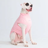 日焼け止め犬 T シャツ - ピンク