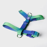 コンフォート コントロール ノープル ドッグ ハーネス - ライム ウェーブ