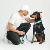 コンフォート コントロール ノープル ドッグ ハーネス - ライム ウェーブ