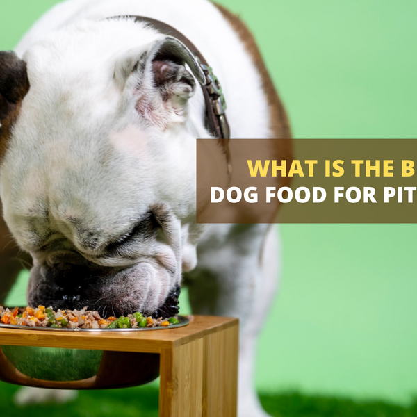 Best grain dog top food for pitbulls