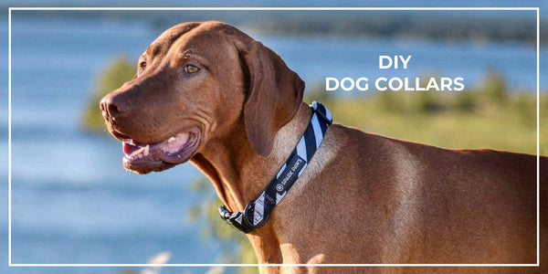 DIY Dog Collars: A Guide to Homemade Collars for Your Pup