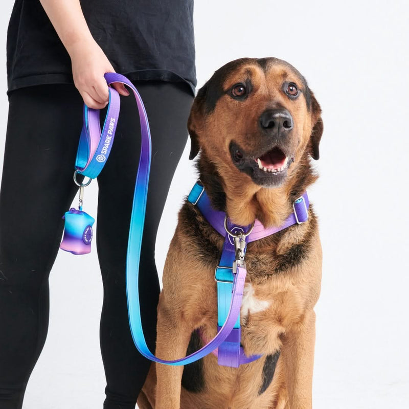 90s Retro Harness