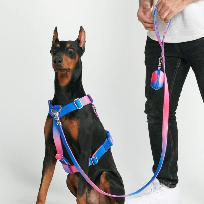 Snow Cone Harness
