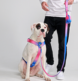 Snow Cone Harness