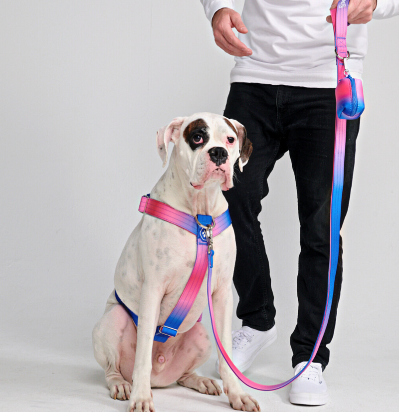Snow Cone Harness