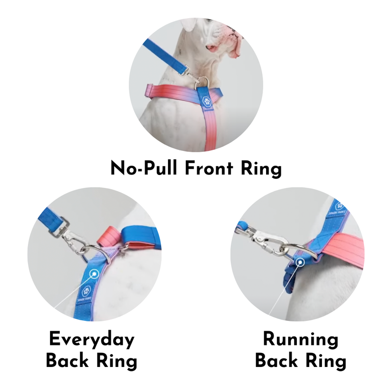 Snow Cone Harness