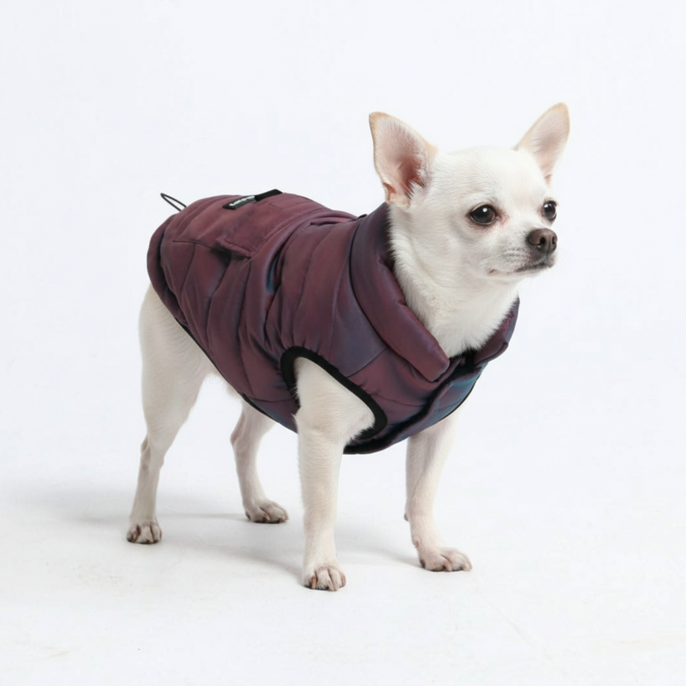 スパークパウズ犬の服、チェーン、首輪、その他 – SPARK PAWS