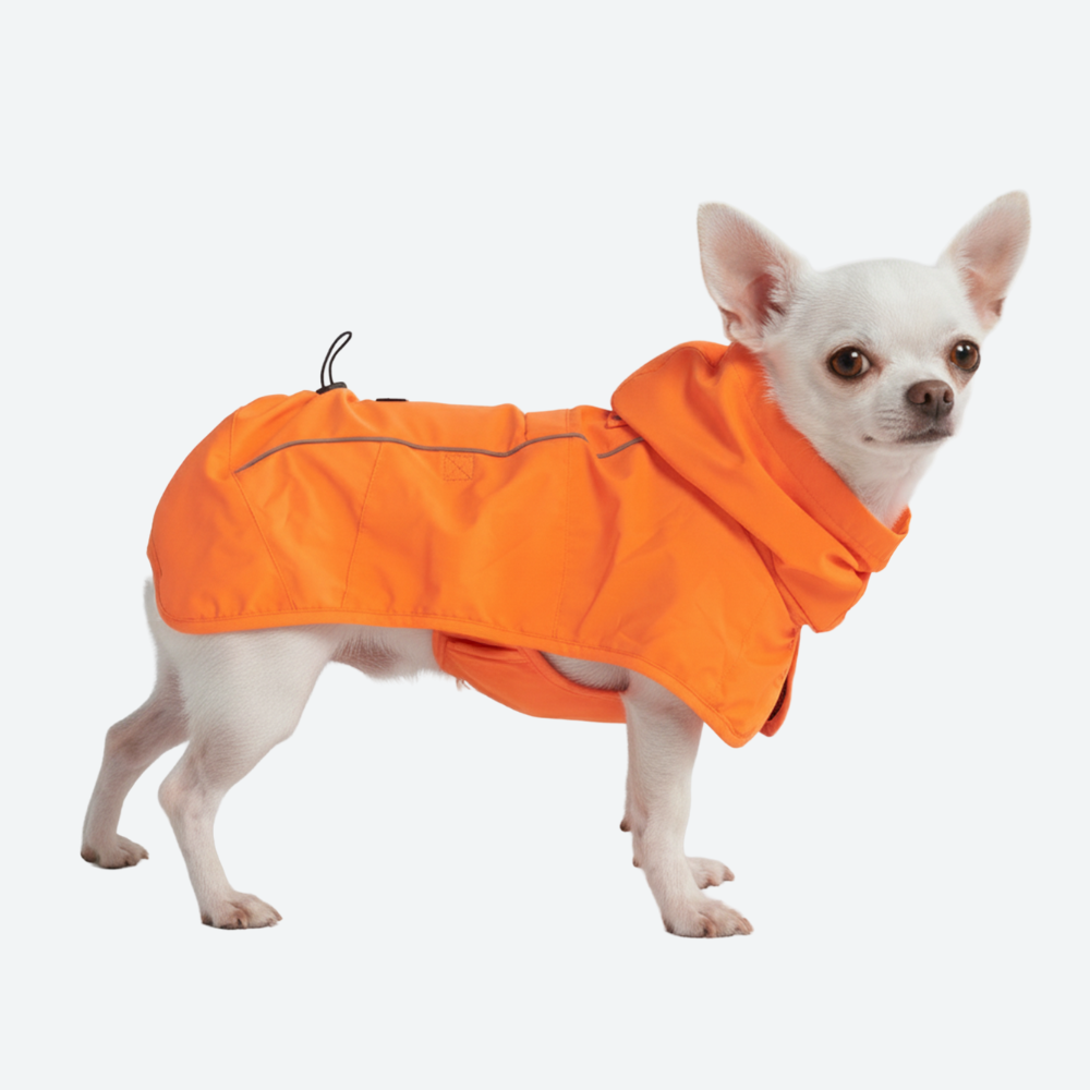 Breatheshield™ 犬用レインコート - ネオンオレンジ – SPARK PAWS