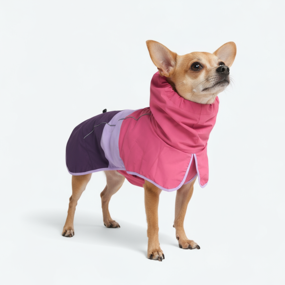 スパークパウズ犬の服、チェーン、首輪、その他 – SPARK PAWS