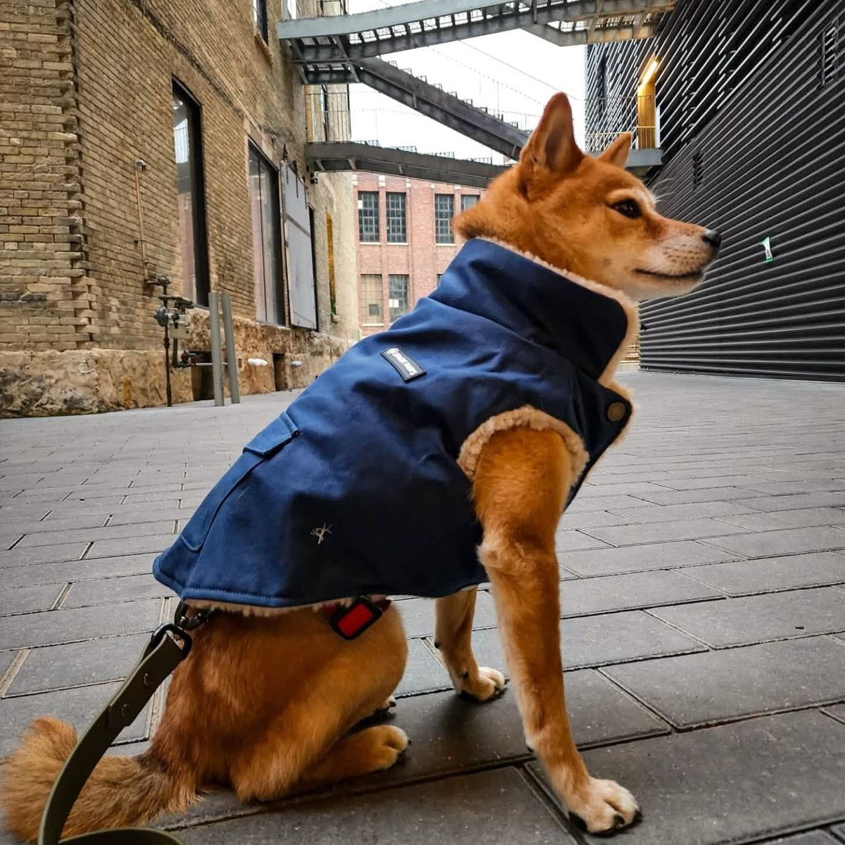 SPARK PAWS オールテレーン断熱ジャケット L All-Terrain Duck Insulated Dog Jacket Coat – SPARK PAWS
