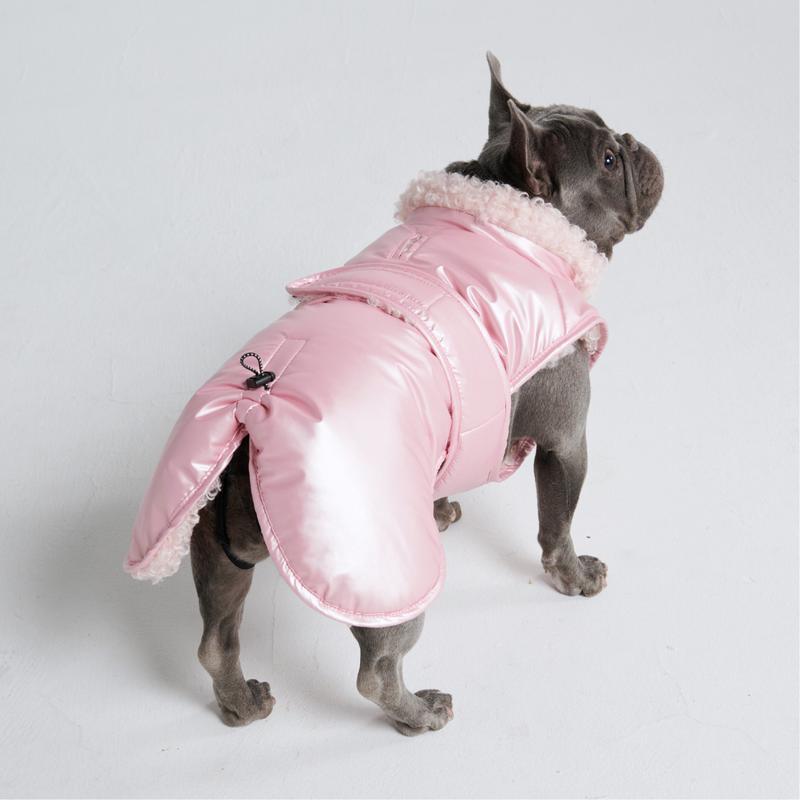 THE STRIPED DOG ORBIT ジッパー付きボンバージャケット XS THE STRIPED DOG ORBIT ジッパー付きボンバージャケット XS