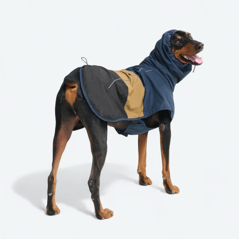 ブレスシールド™ 犬用レインコート - ブルー ゴールド ブラック