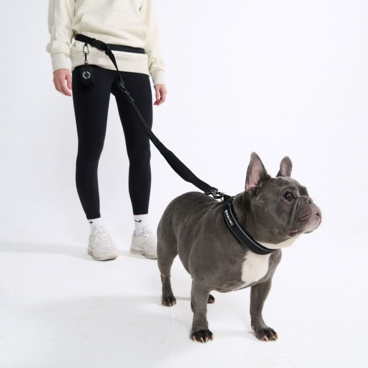 コンフォートコントロール犬用リード – SPARK PAWS