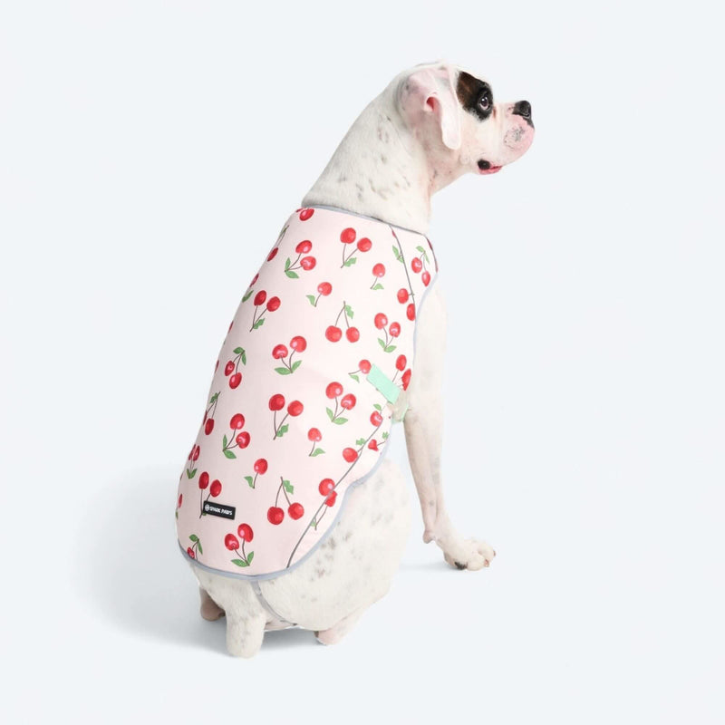 クールベスト 犬用 通販 犬 クーリングベスト 夏 クール ベスト