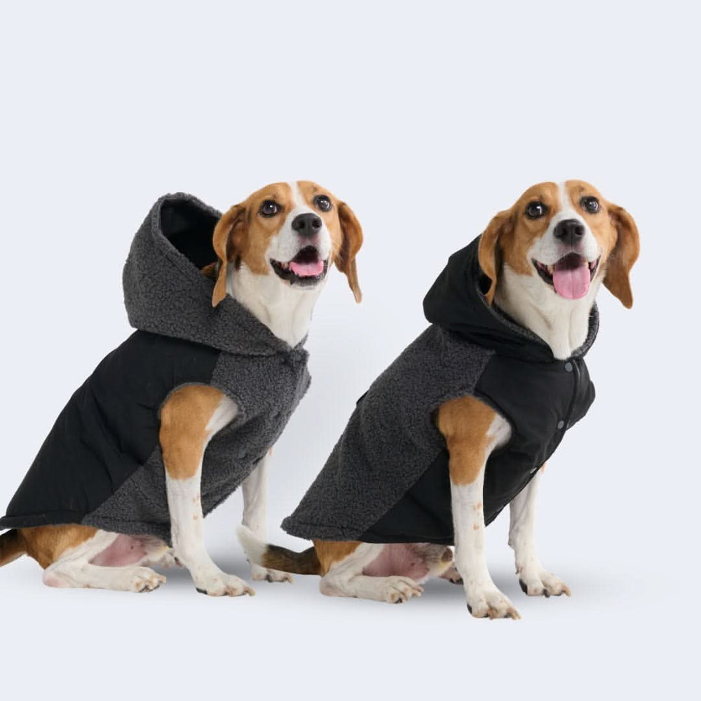 犬用冬用ジャケット |プレミアムベストなど – SPARK PAWS