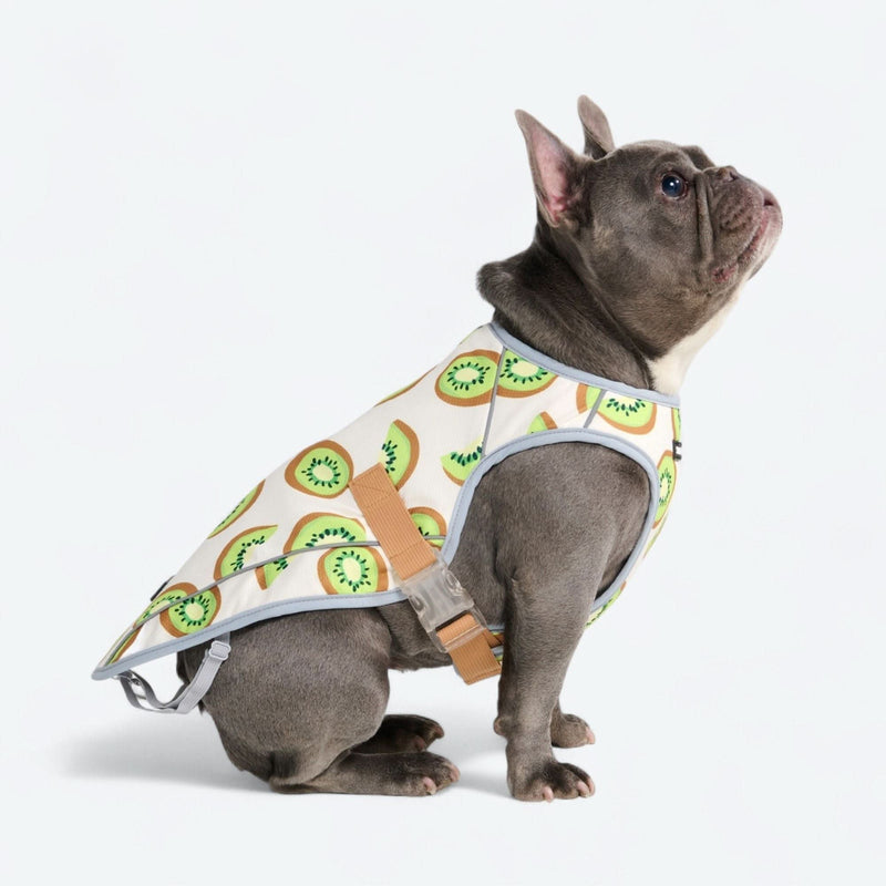 犬用クーリングベスト - キウイ