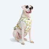 Kiwi Cooling Vest